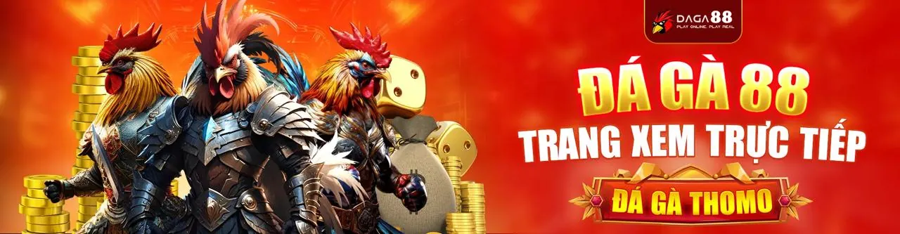 Hình ảnh minh họa cập nhật chính sách GDPR của 88day casino